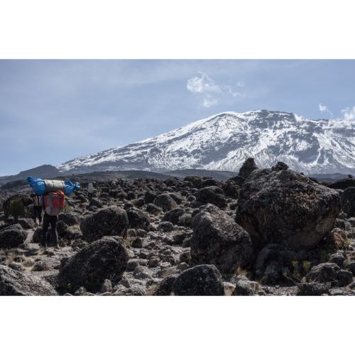 Tanzania 2020: Mt. Kilimanjaro & 2 Day Safari