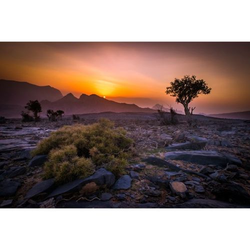 Oman: New Years 2019