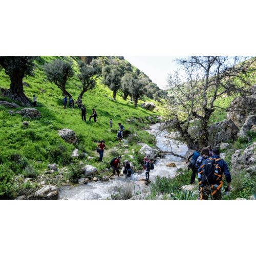 Wadi Rayan Day Hike