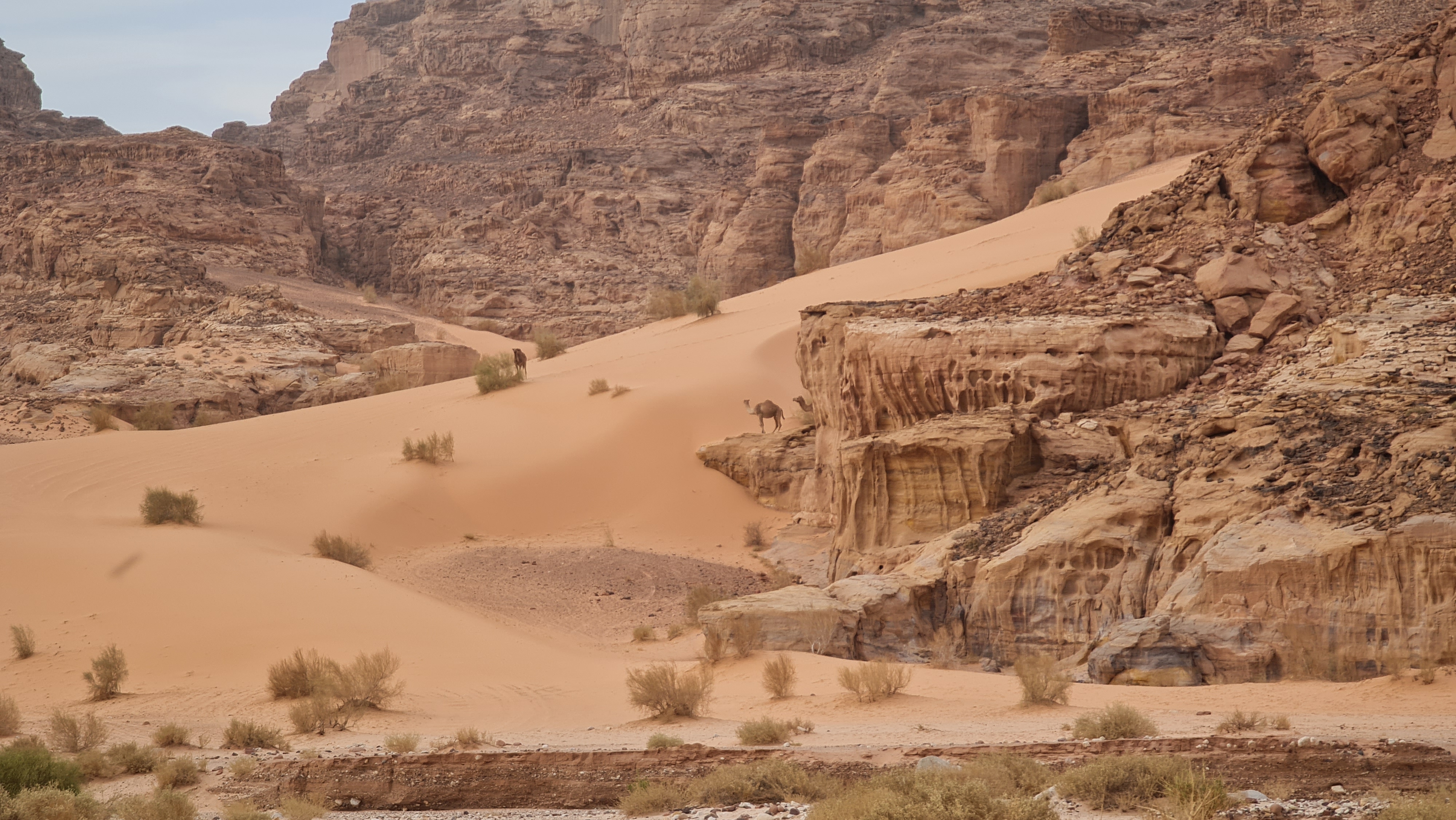 Petra to Wadi Rum (group) 11 May 2023