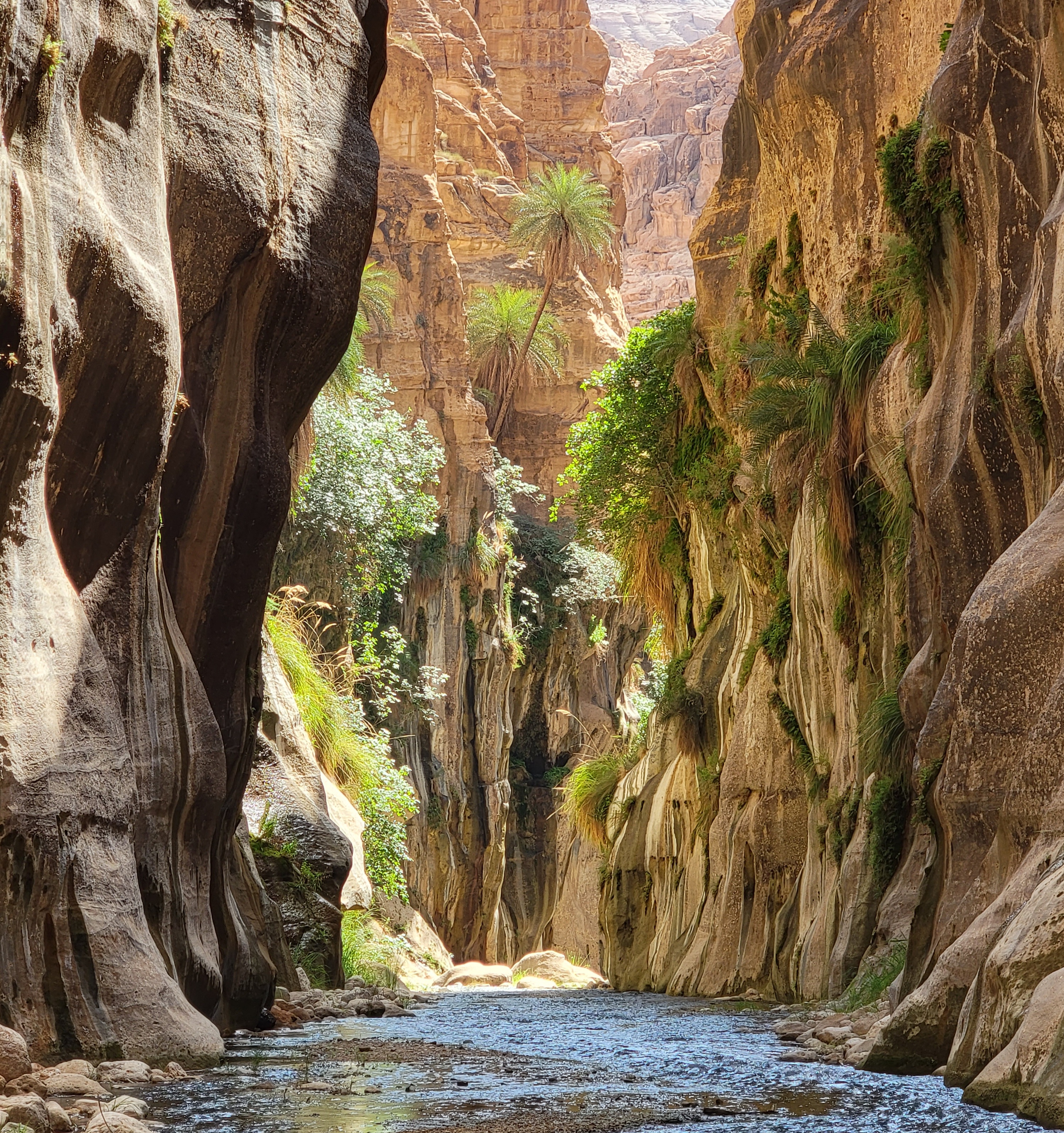 Wadi Ben Hammad 28 June, 2025