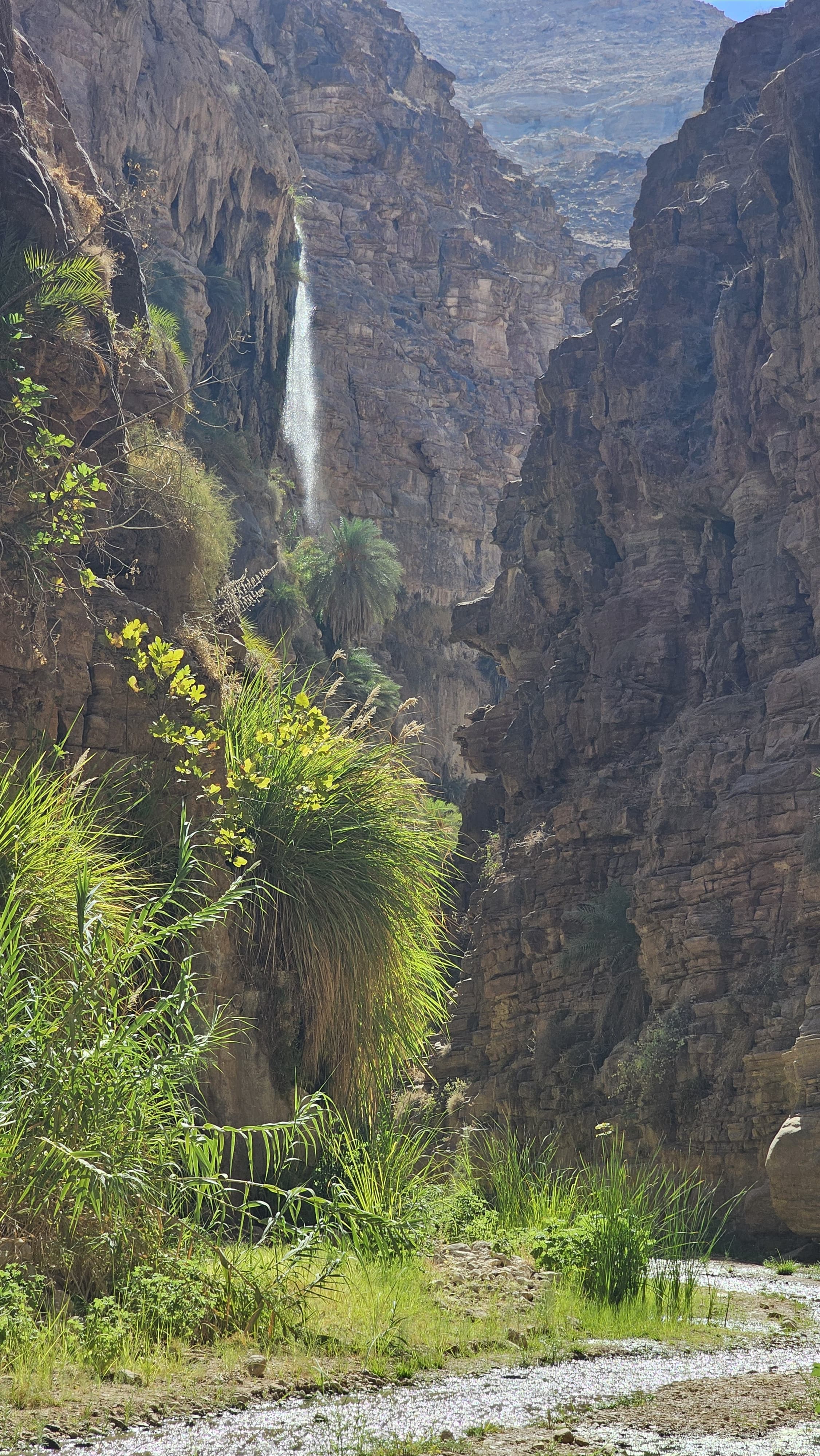 Wadi Karak Lower Trail 31 May, 2025