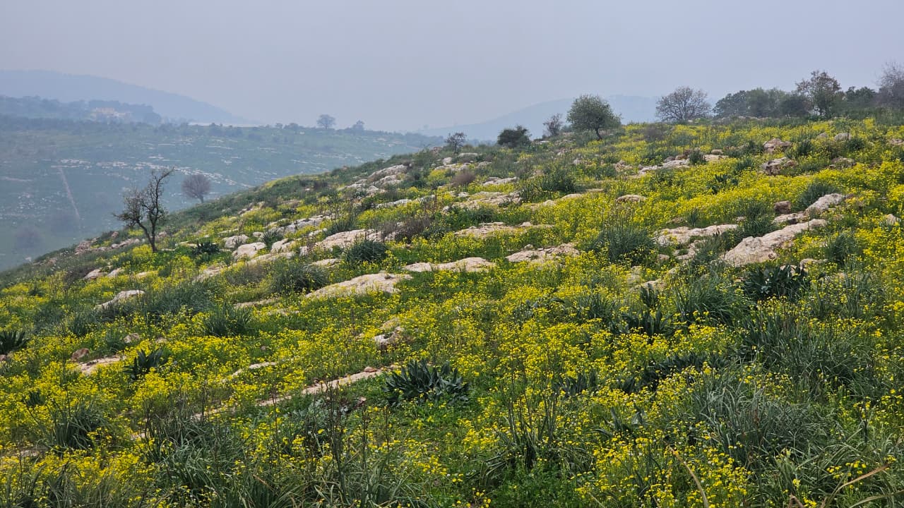 Beit Idis to Pella (Via Wadi Saleh) 18 April, 2026