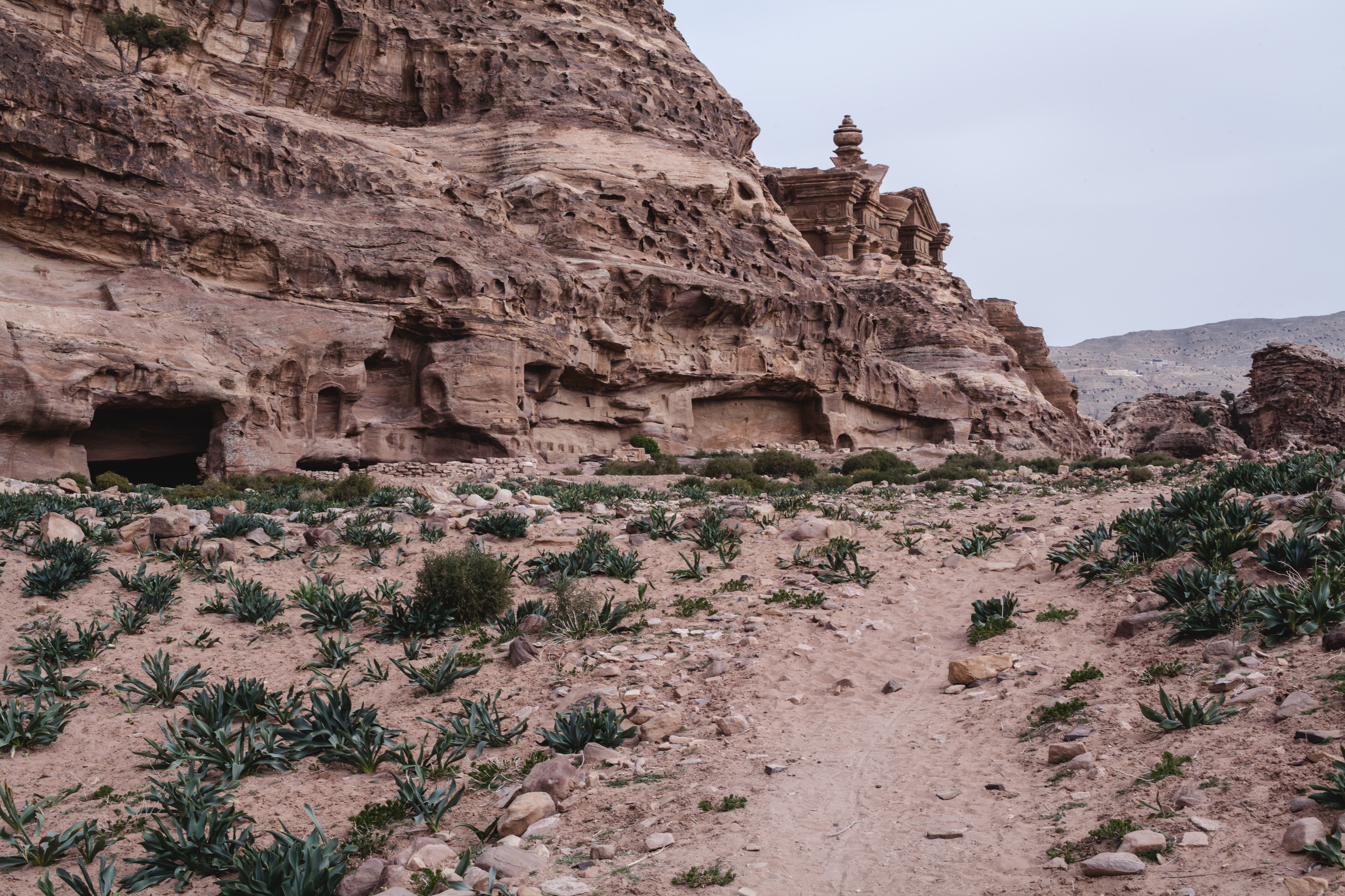 Petra to Wadi Rum  (private)