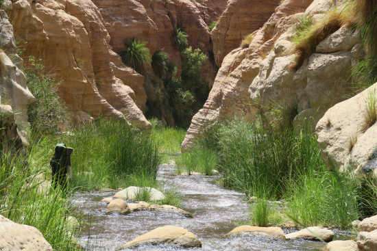 Overnight in Wadi Hasa 3 July, 2026