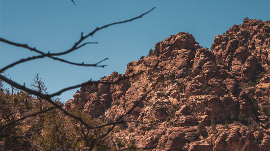 Dana to Al Mansourah 16 May, 2026