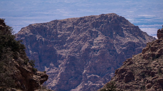 Dana to Al Mansourah 16 May, 2026