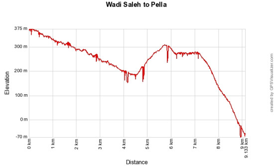 Wadi Saleh to Pella