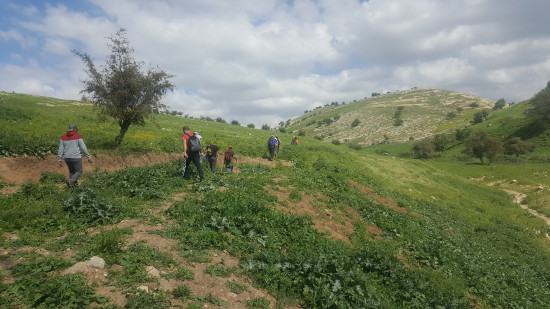 Wadi Saleh to Pella