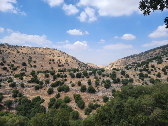 Inbeh Forest Trail 13 March, 2026