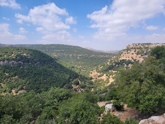 Inbeh Forest Trail 13 March, 2026