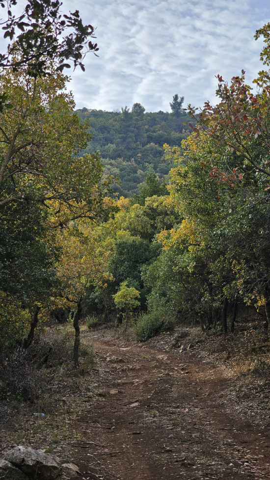Kherbit Al-souq to Debbein 13 February 2026
