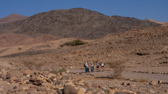 Dana to Petra (Jordan Trail, group) 17 November 2025