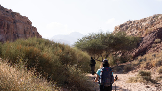 Petra to Wadi Rum (Jordan Trail, group) 13 December, 2025