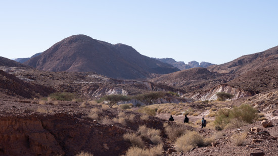 Petra to Wadi Rum (Jordan Trail, group) 1 November, 2025