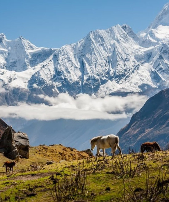 Nepal - Manaslu Circuit Trek 3rd Nov 2025