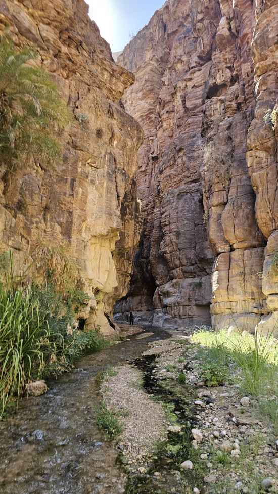 Wadi Karak Lower Trail 18 July, 2025 (Cancer Patient Fundraising Trip)
