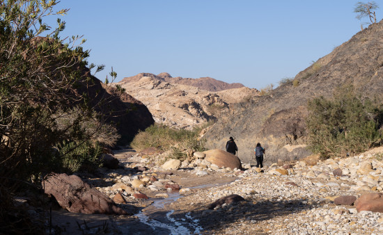 Petra to Wadi Rum (Jordan Trail, group) 24 March, 2026