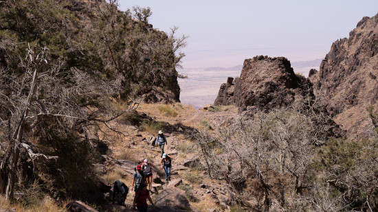 Dana to Petra (Jordan Trail, group) 14 January 2027