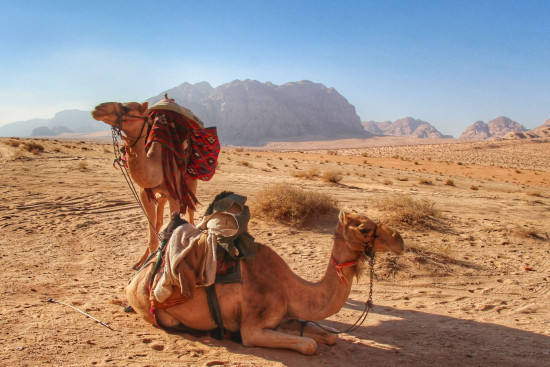 Jordan Active Tour (Group Trip) 19 March 2026