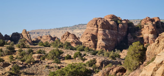 Jordan Active Tour (Group Trip) 19 March 2026