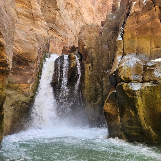 Jordan Active Tour (Group Trip) 19 March 2026