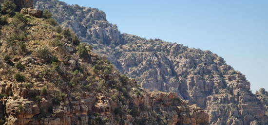 Dana Reserve - Khashm Ismail 14 November, 2025