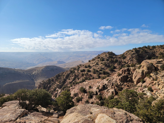 Dana Reserve - Khashm Ismail 14 November, 2025