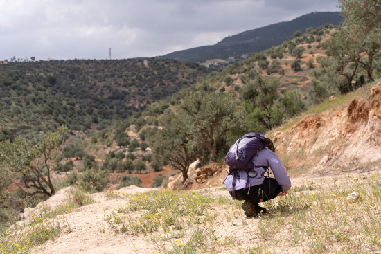 Khirbet Souq to King Talal Dam 9 January 2026