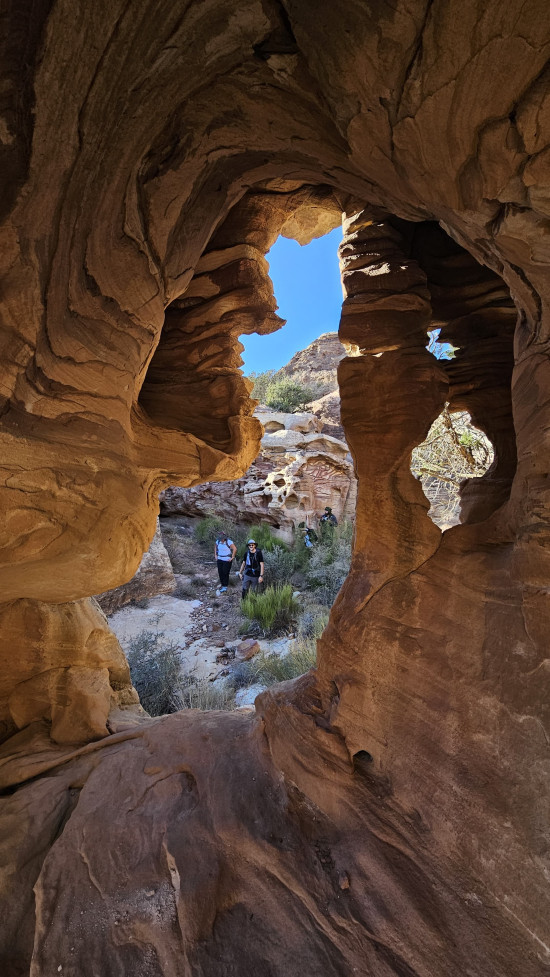 Mansoura to Umm Shomara 24 April, 2026