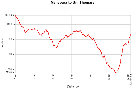 Mansoura to Umm Shomara 24 April, 2026