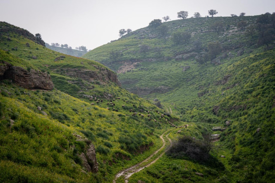 Ziglab to Beit Eides 6 March, 2026