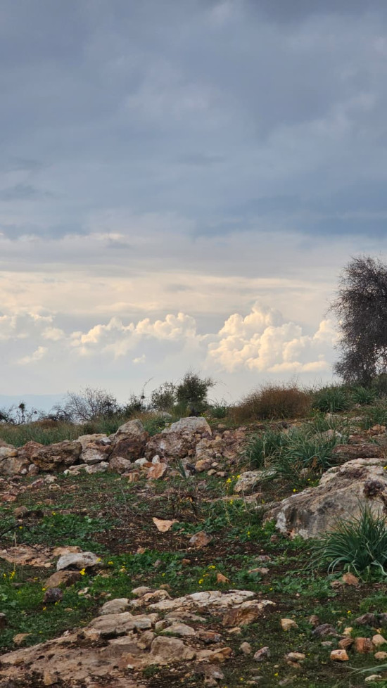 Beit Idis to Pella (Via Wadi Saleh) 18 April, 2026