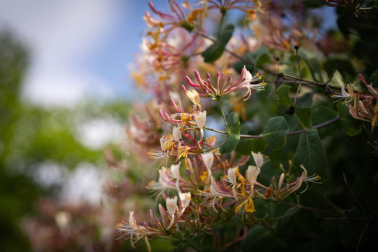 Zubia Forest Circuit Trail 24 April, 2026