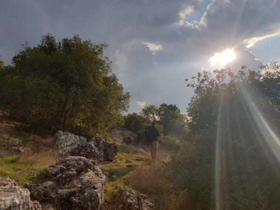 Zubia Forest Circuit Trail 24 April, 2026