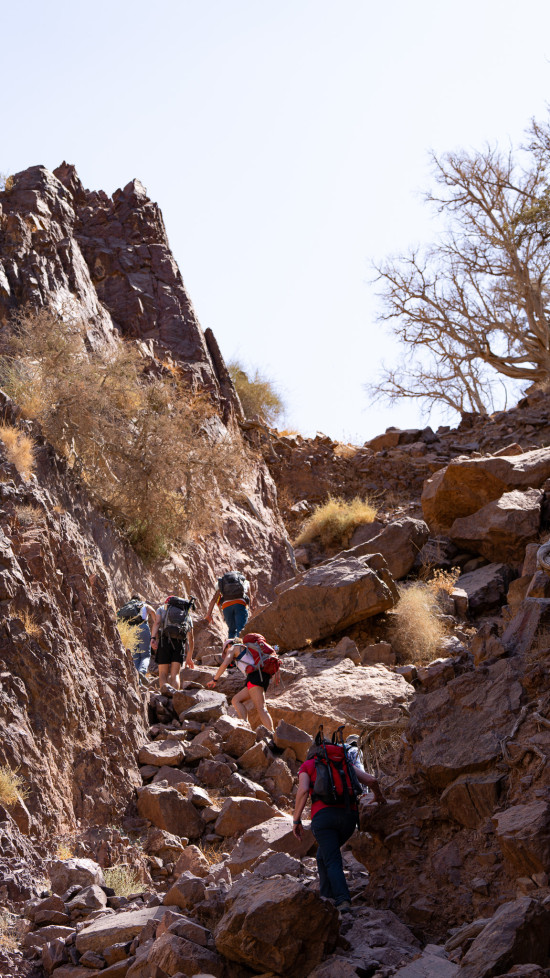 Dana to Wadi Rum -  10 days (Jordan Trail)