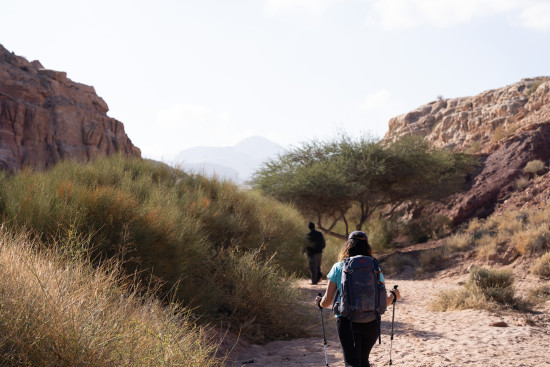 Petra to Wadi Rum (Jordan Trail, group) 7 March, 2027