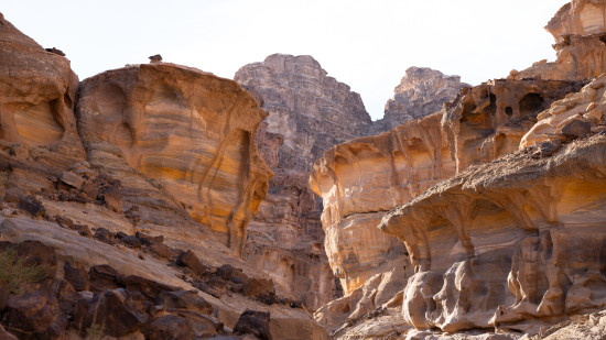 Petra to Wadi Rum (Jordan Trail, group) 28 March, 2027