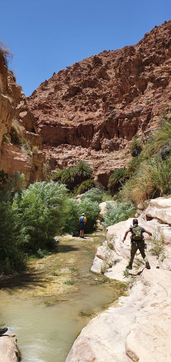 Wadi Ghuweir 19 June 2026