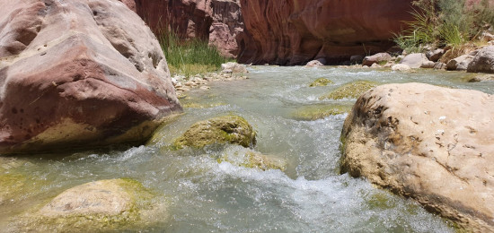 Wadi Hasa Lower Trail 13 June 2026