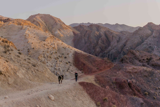 Petra to Wadi Rum (Jordan Trail, group) 26 October, 2026