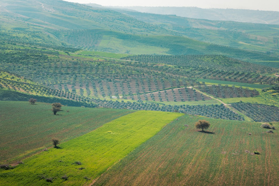 101: Umm Qais To Ziglab