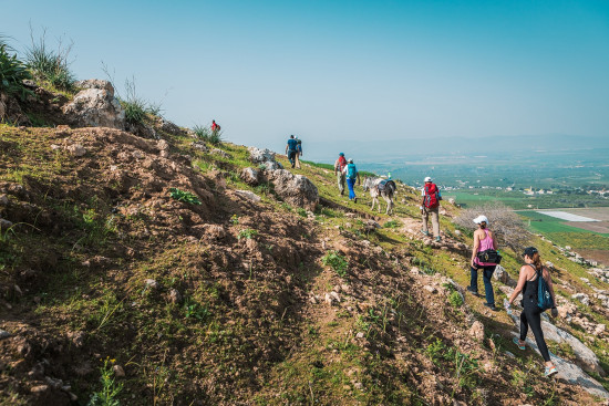 102: Ziglab to Beit Idis