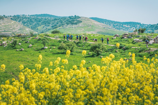 102: Ziglab to Beit Idis