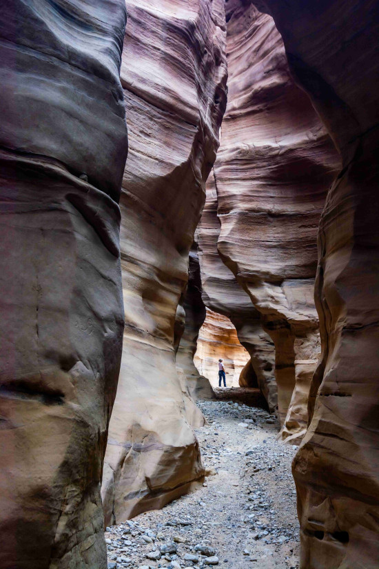 Petra to Wadi Rum (Jordan Trail, group) 24 October, 2027