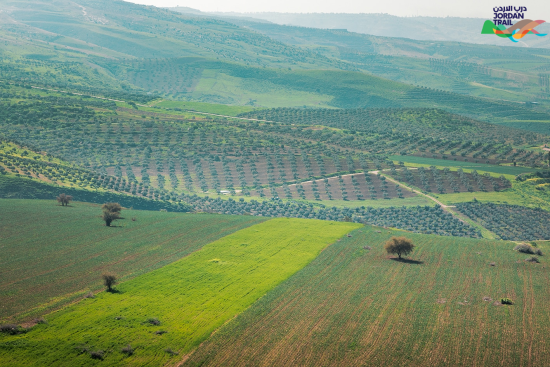 101: Umm Qais To Ziglab