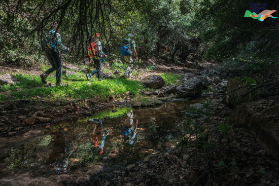 103: Beit Idis to Rasoun