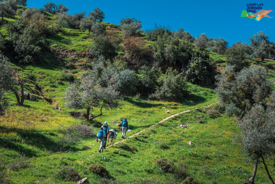 104: Rasoun to Ajloun Castle