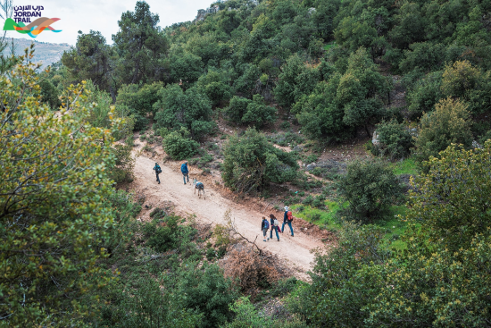 201: Ajloun to Khirbet Al-Souq