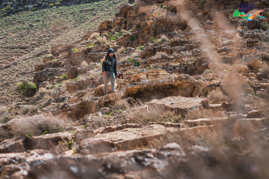 403: Wadi Mujib to Majdalein